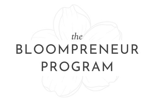 Bloompreneur program - clarity img