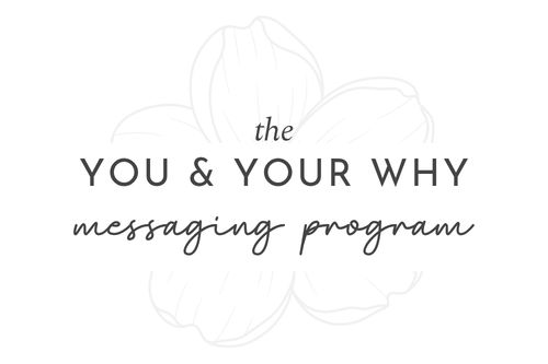 the you & your why messsaging program