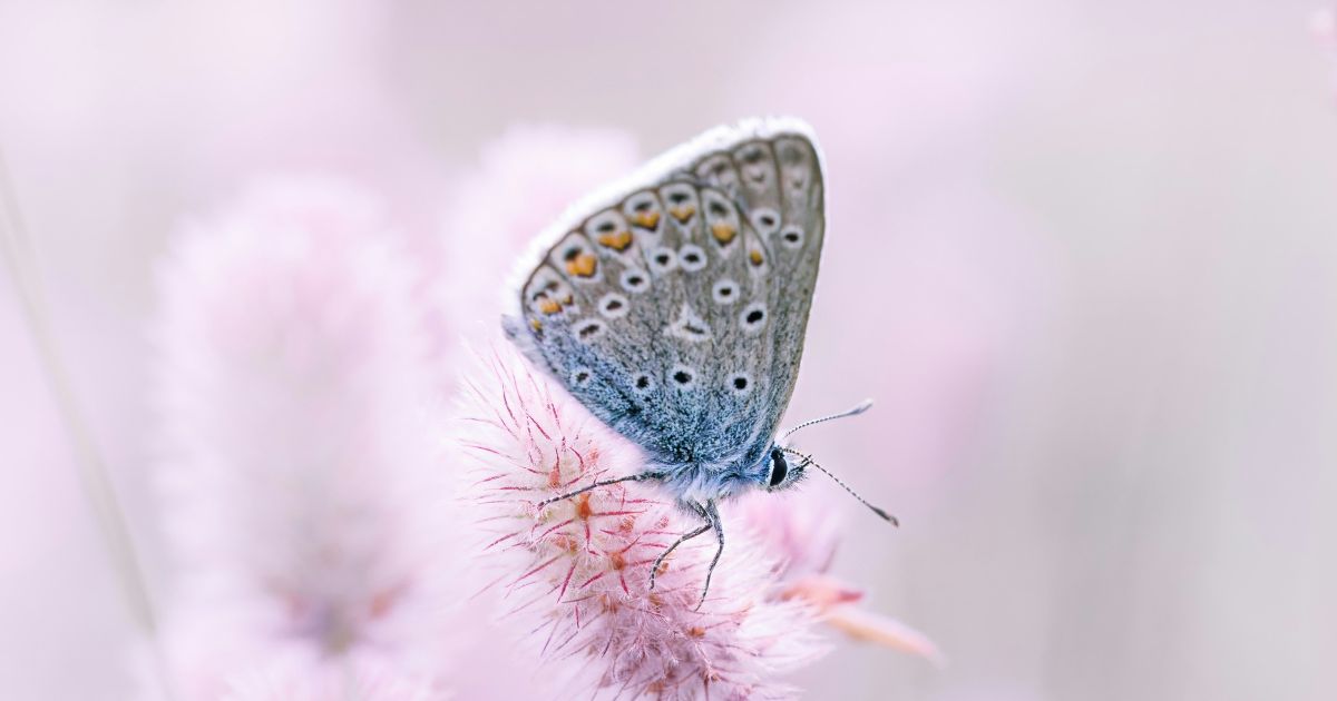 Empathy-connection-trust-marketing-superpowers-fi