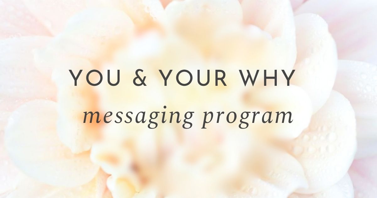 The You & Your Why messaging program