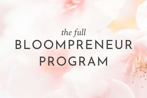 The full Bloompreneur Program