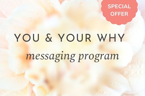 The You & Your Why messaging program